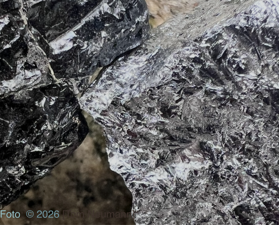 Strukturbild zur Kernexpertise – Foto © 2026 Tom Neumann